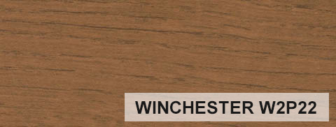 WINCHESTER W2P22